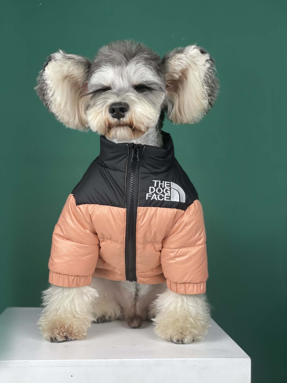 The Dog Face Jacket