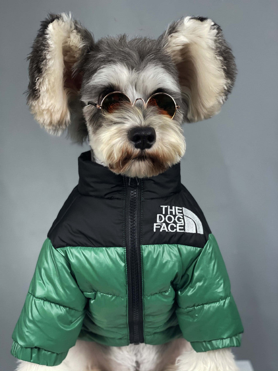 The Dog Face Jacket