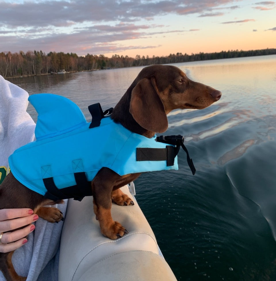 Shark Dog Safety Life Jacket