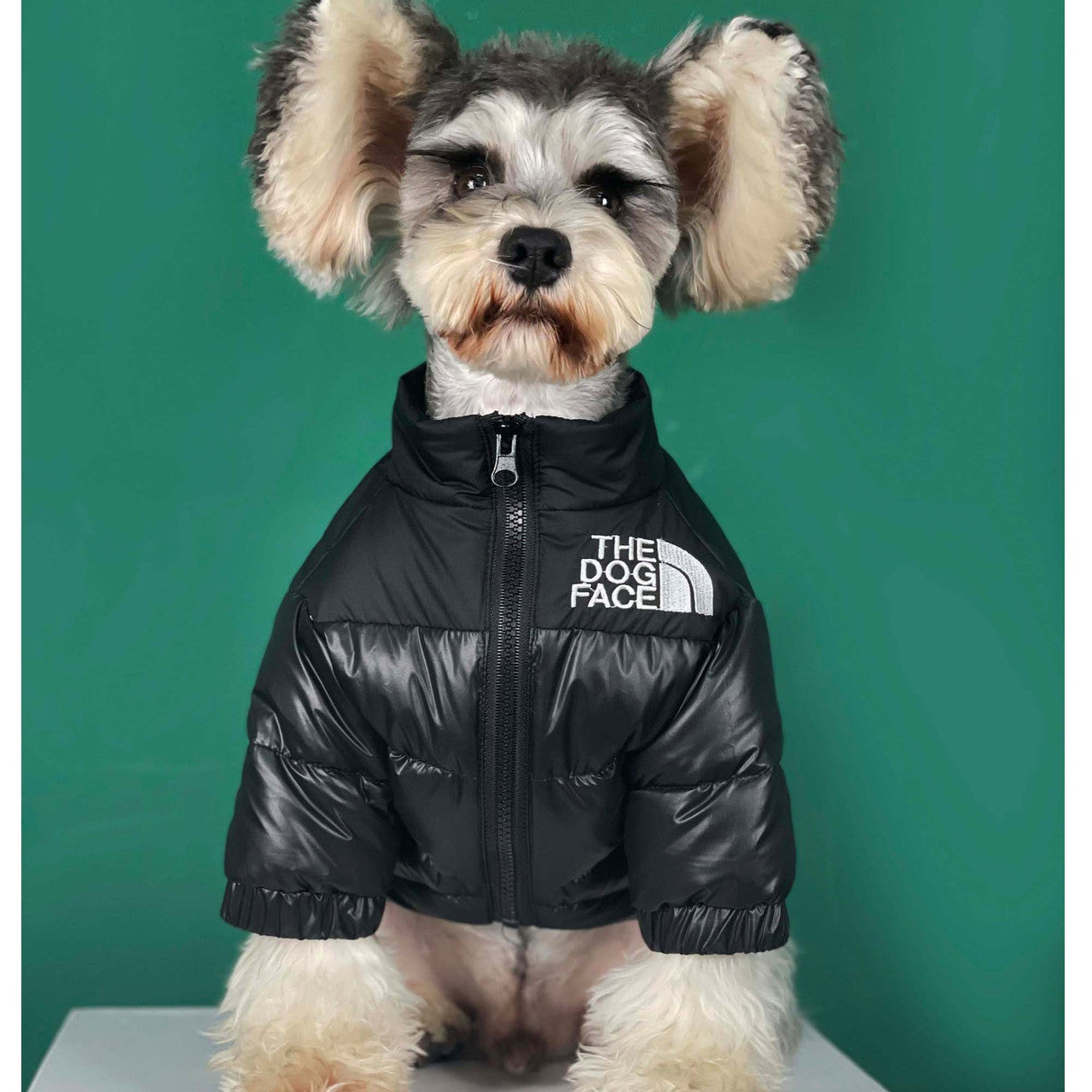 The Dog Face Jacket