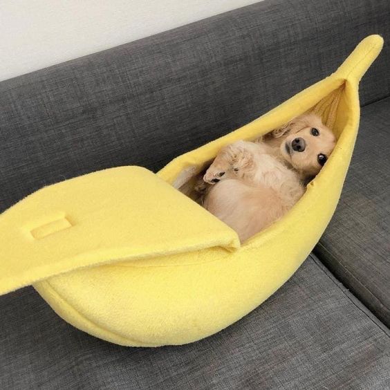 Banana Dog Bed