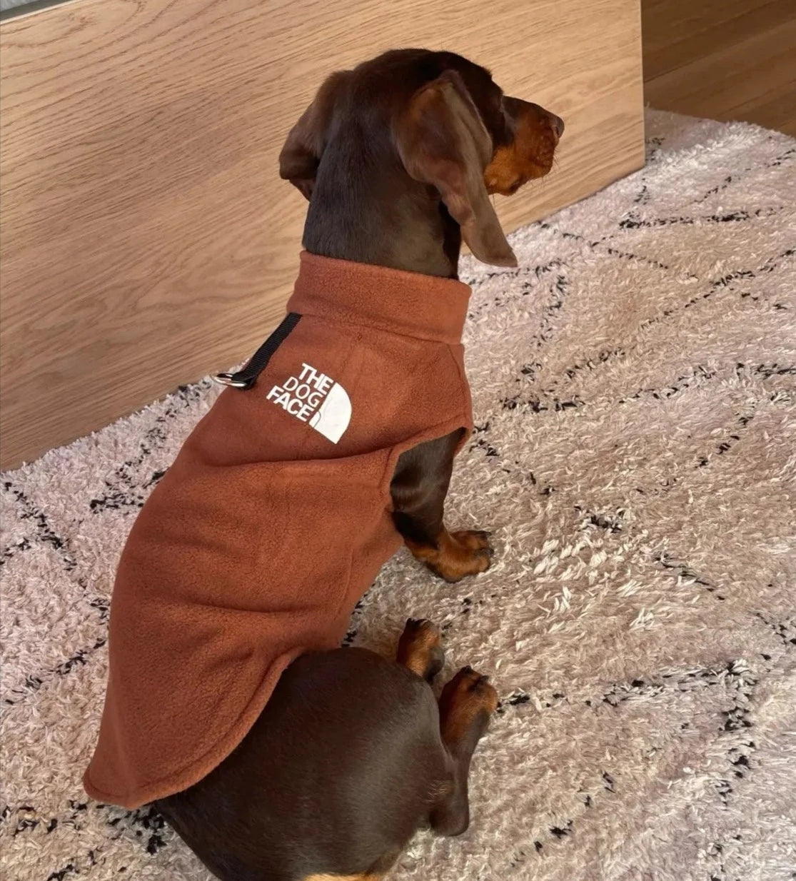 The Dog Face Fleece Vest