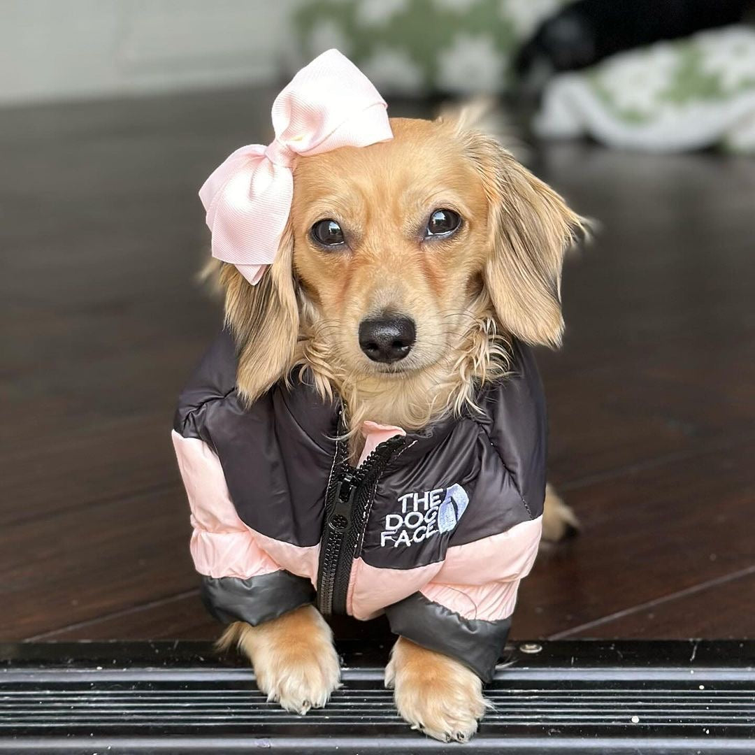 The Dog Face Dachshund Vest