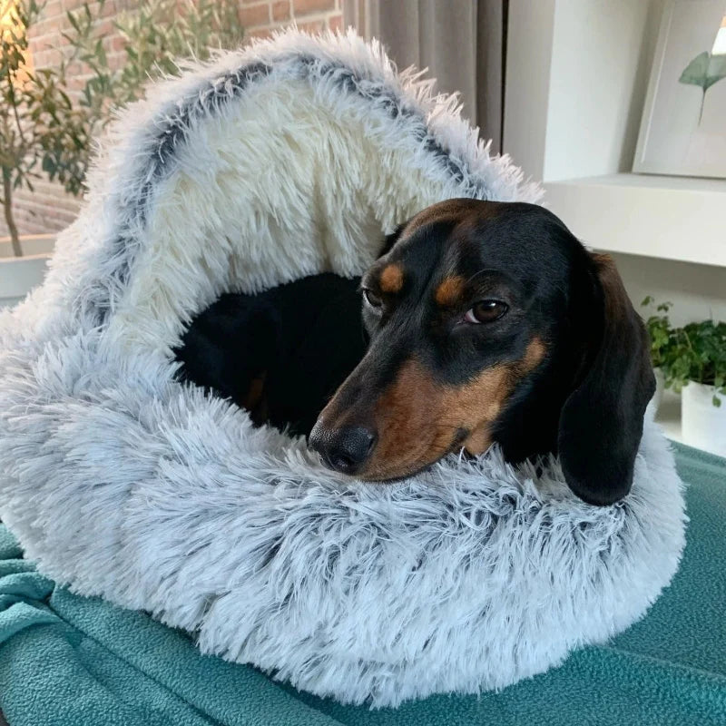 Dachshund Fluffy Cave Bed