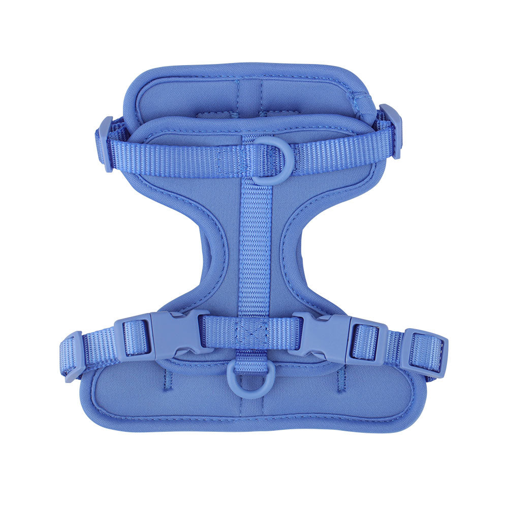 Dachshund Dog Harness