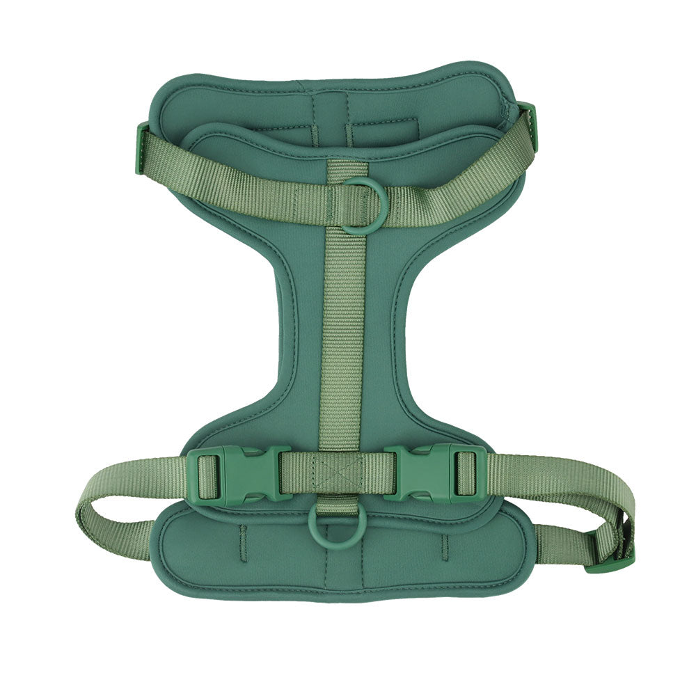 Dachshund Dog Harness