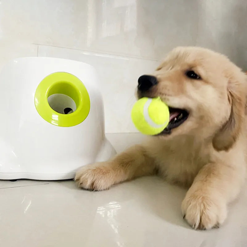 AUTOMATIC BALL LAUNCHER FOR DOGS