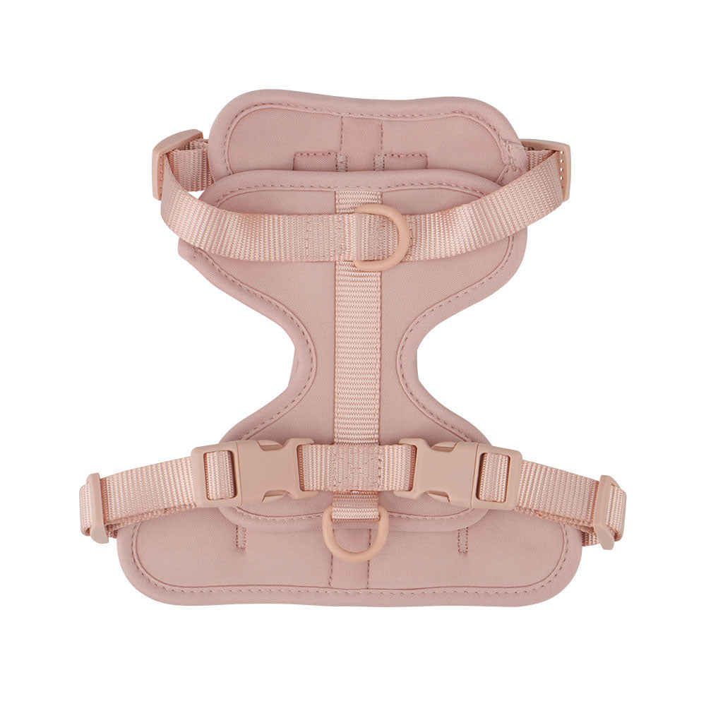 Dachshund Dog Harness