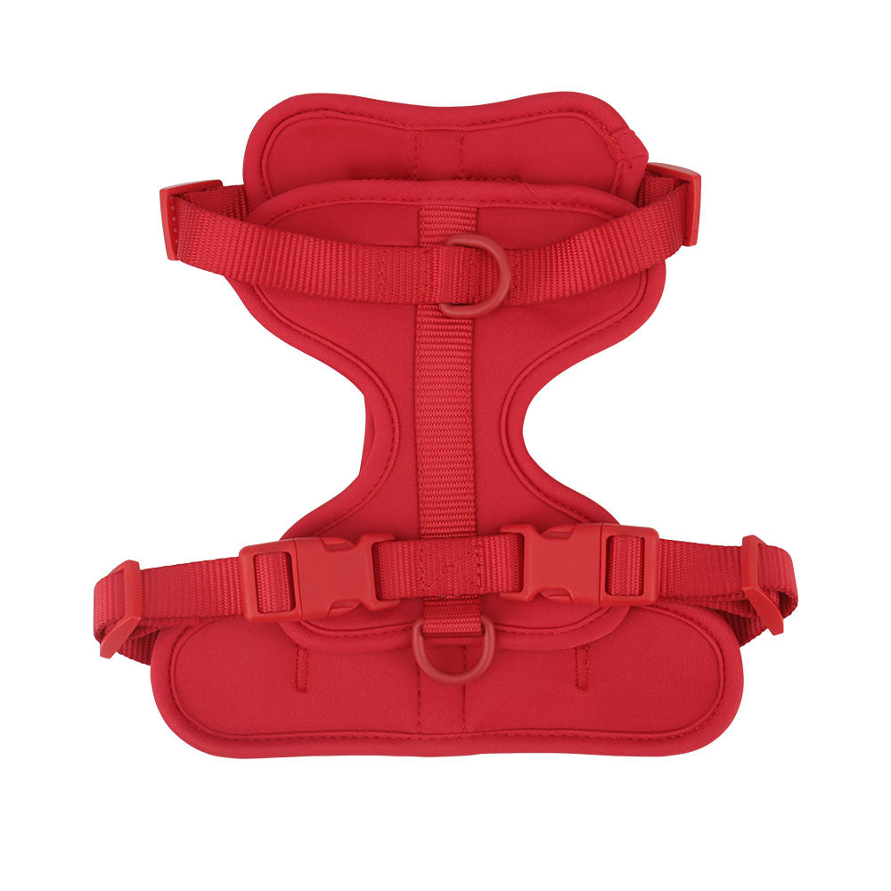 Dachshund Dog Harness