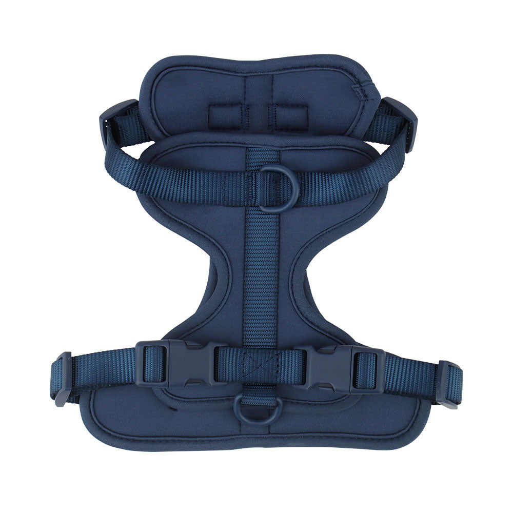 Dachshund Dog Harness