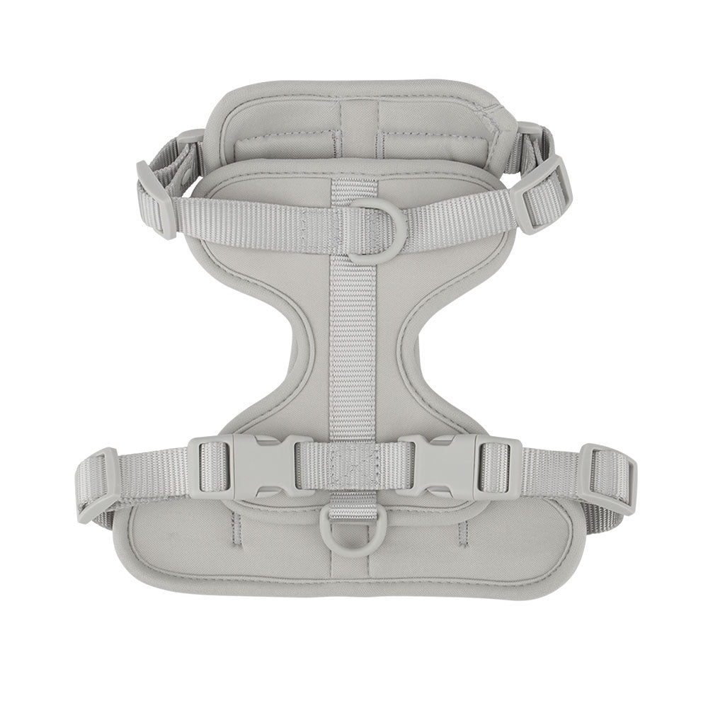 Dachshund Dog Harness