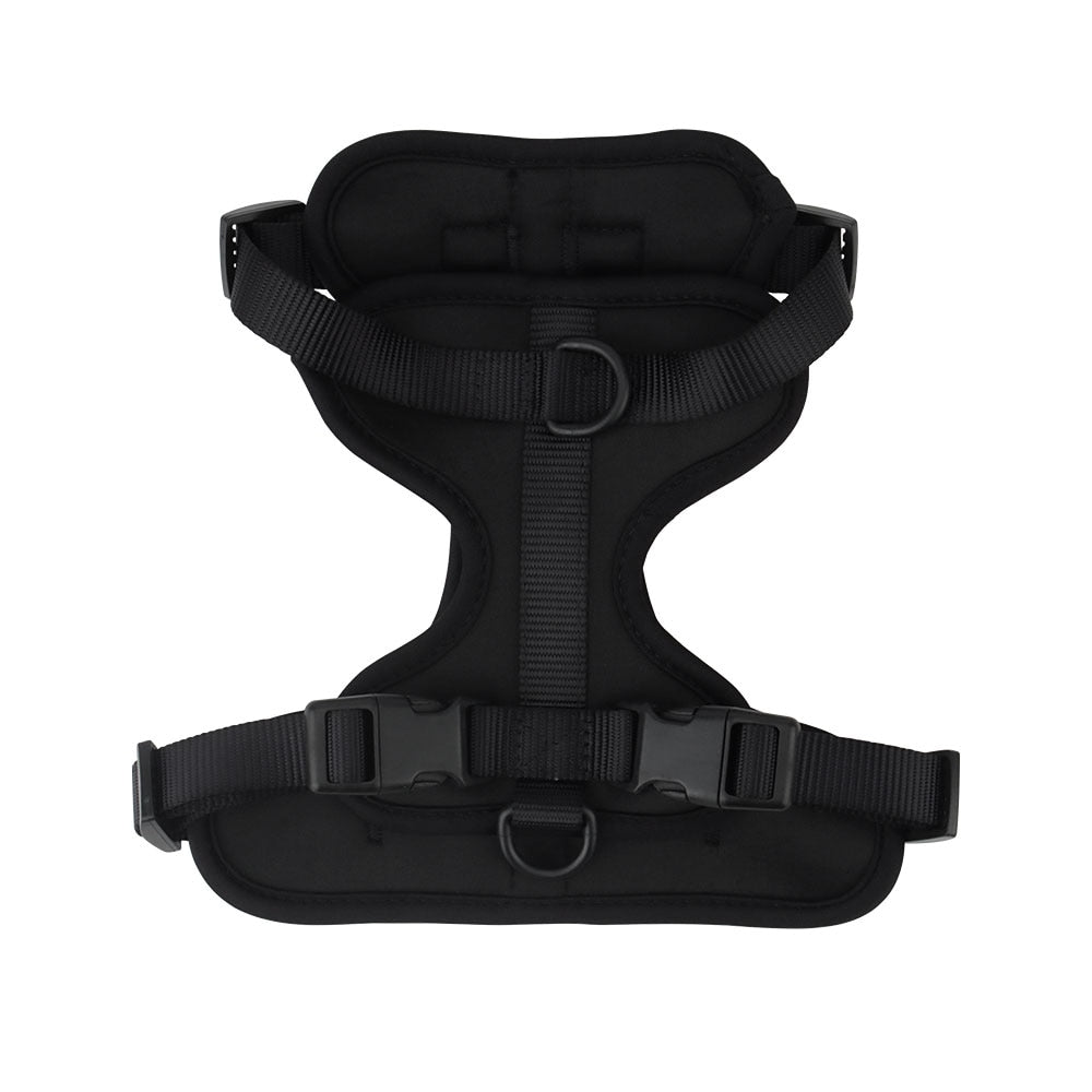 Dachshund Dog Harness