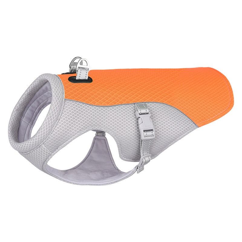 Cooling Vest for Dachshund Dogs