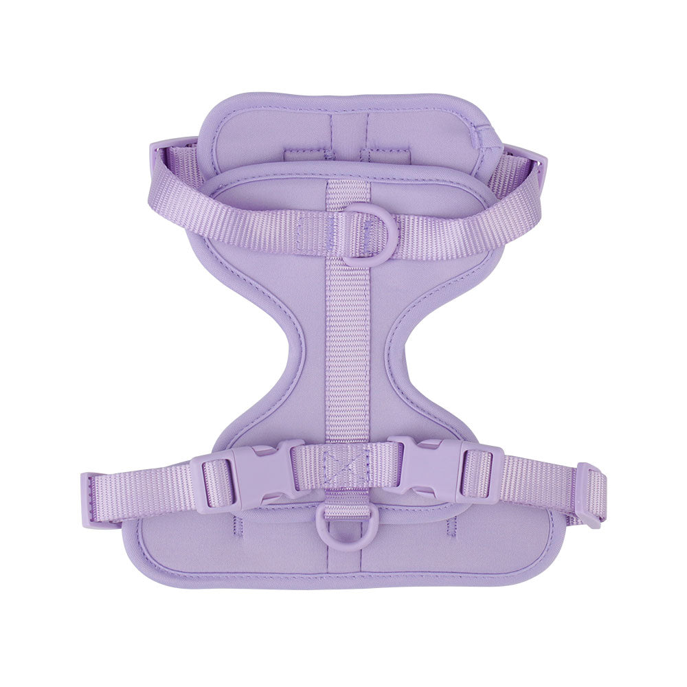 Dachshund Dog Harness