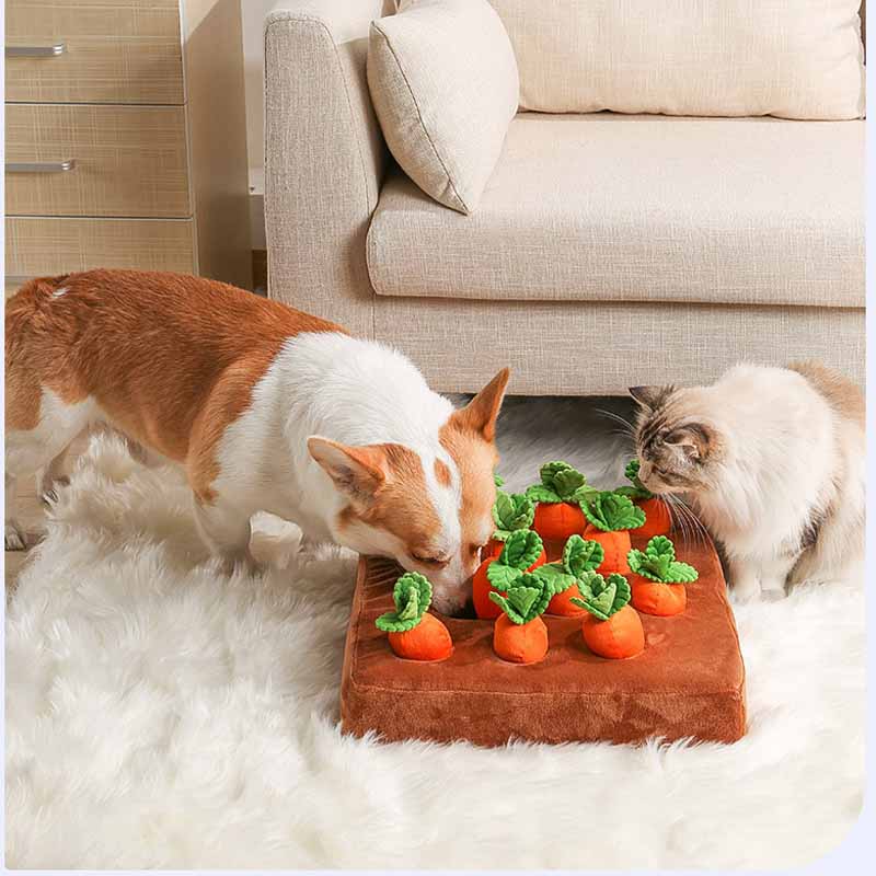 Dachshund Snuffle Carrot Toy