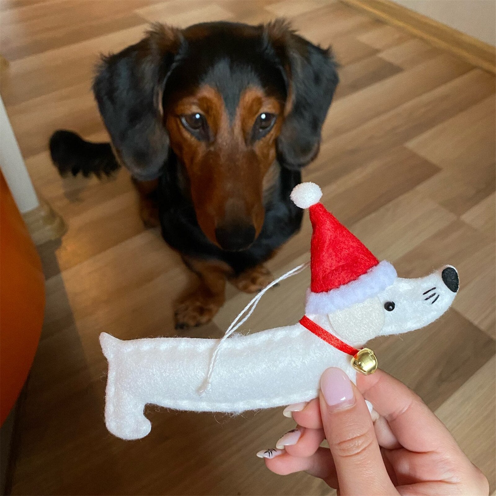 dachshund dog christmas ornament