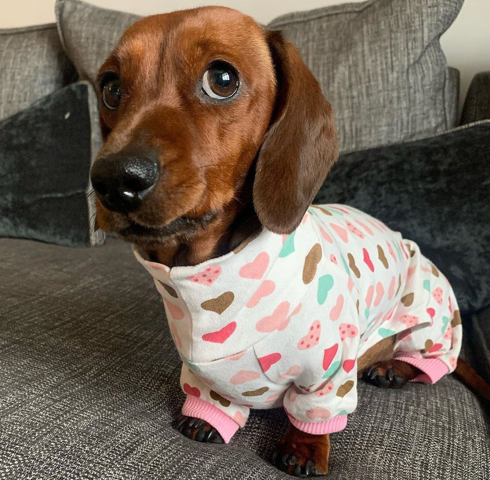 dachshund dog pajamas