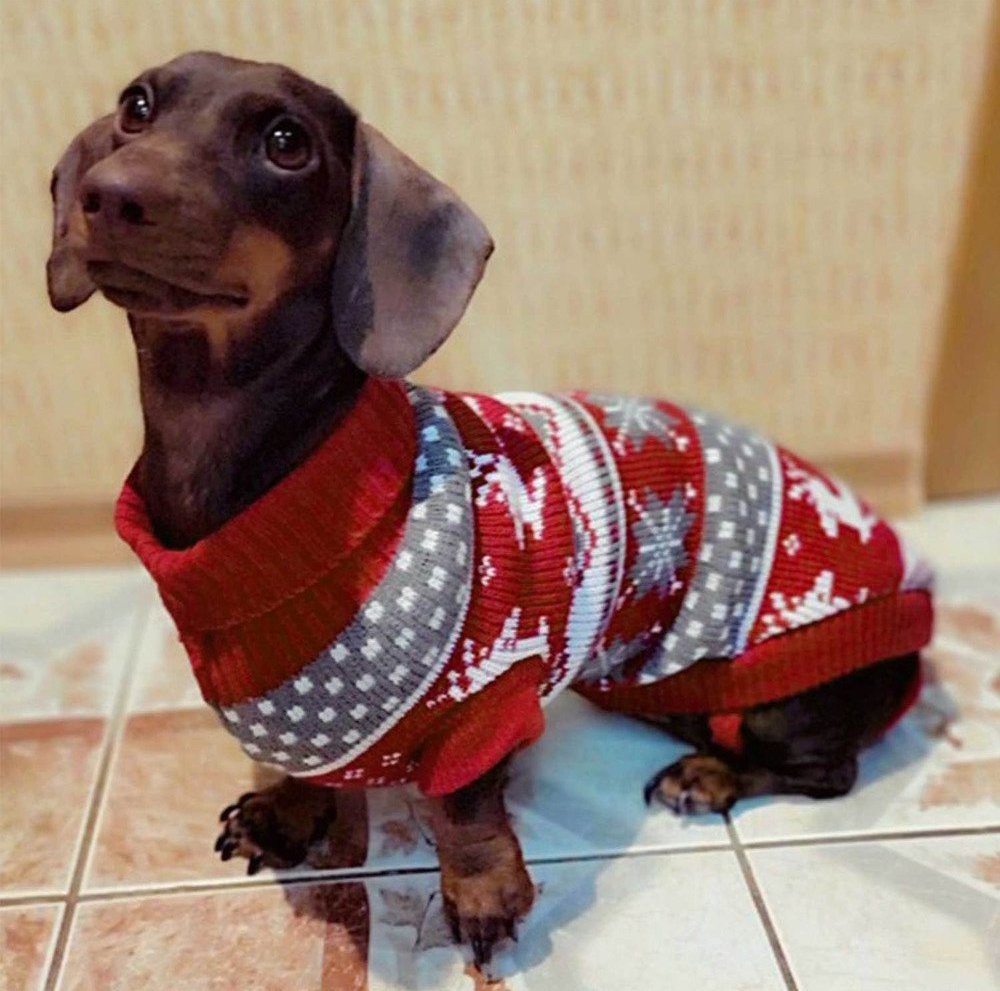 christmas sweater for dachshund xmas dach planet