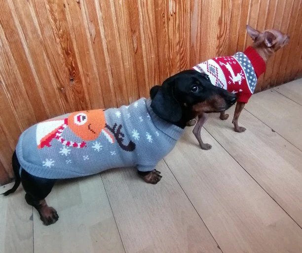 christmas sweater for dachshund xmas dach planet