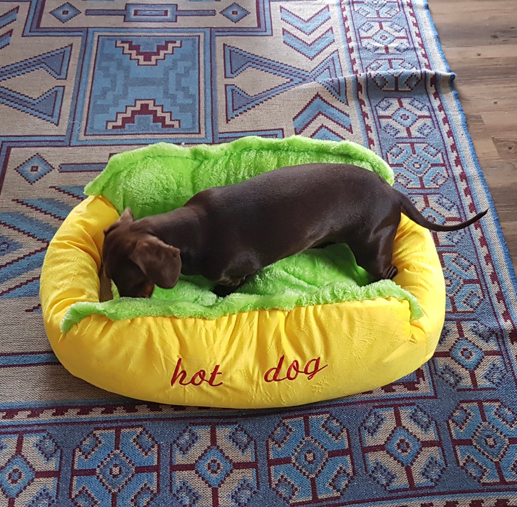 dachshund bed hot dog dach planet