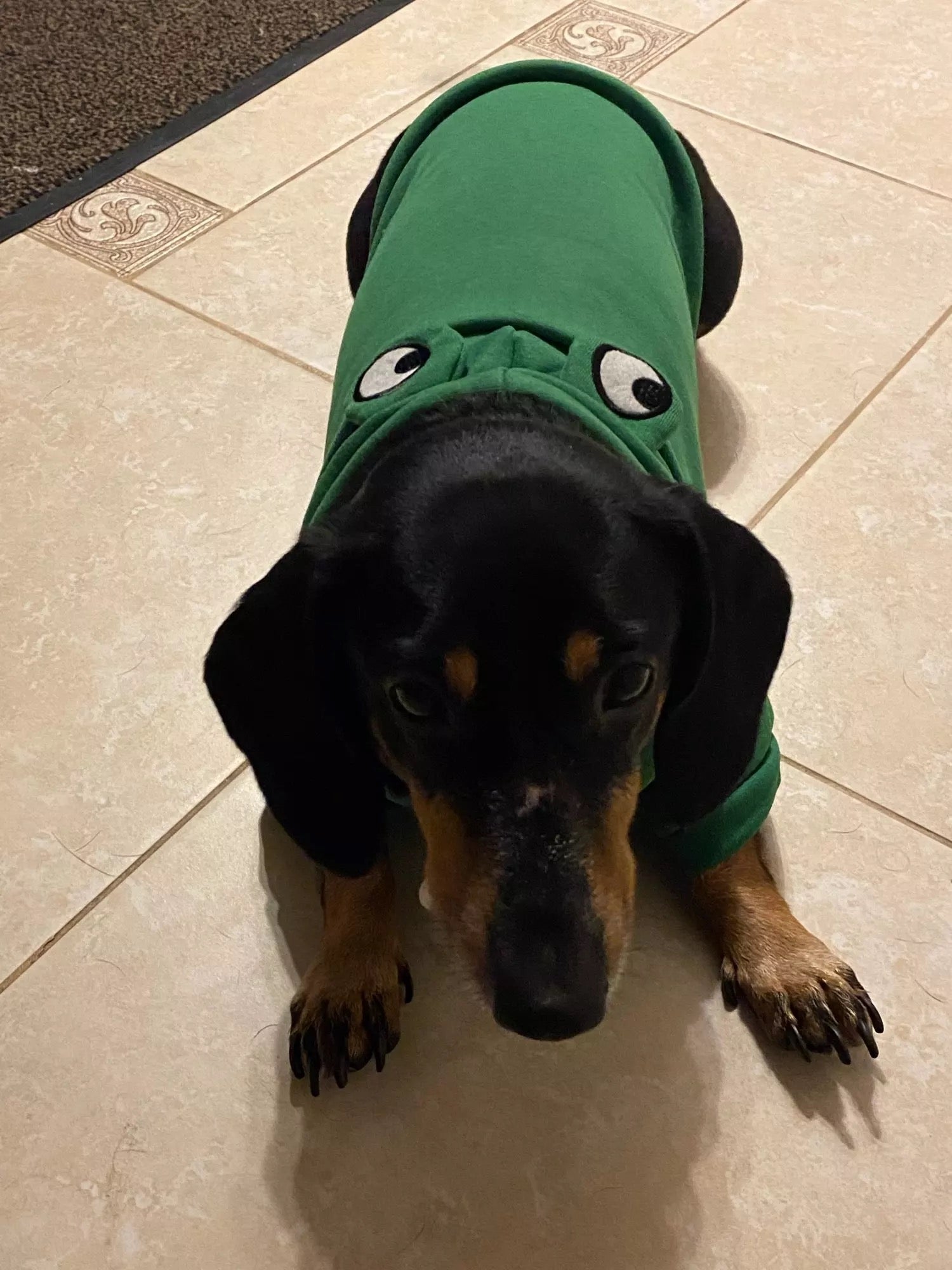 Frog Dachshund Dog Hoodie