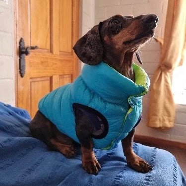 Dachshund Dog Reversible Puffer Jacket