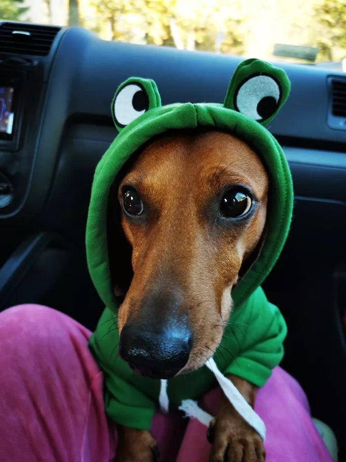 Frog Dachshund Dog Hoodie