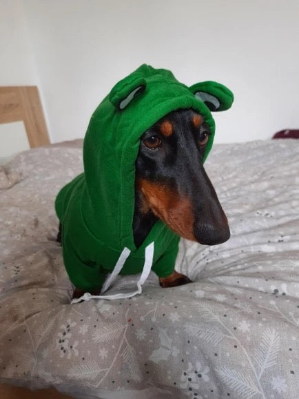 Frog Dachshund Dog Hoodie