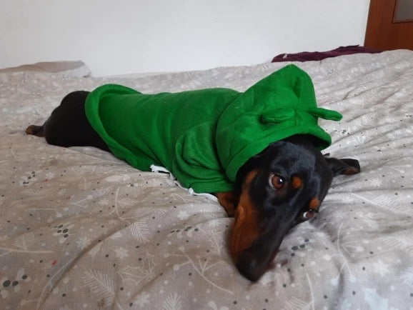 Frog Dachshund Dog Hoodie