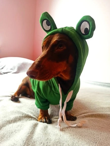 Frog Dachshund Dog Hoodie