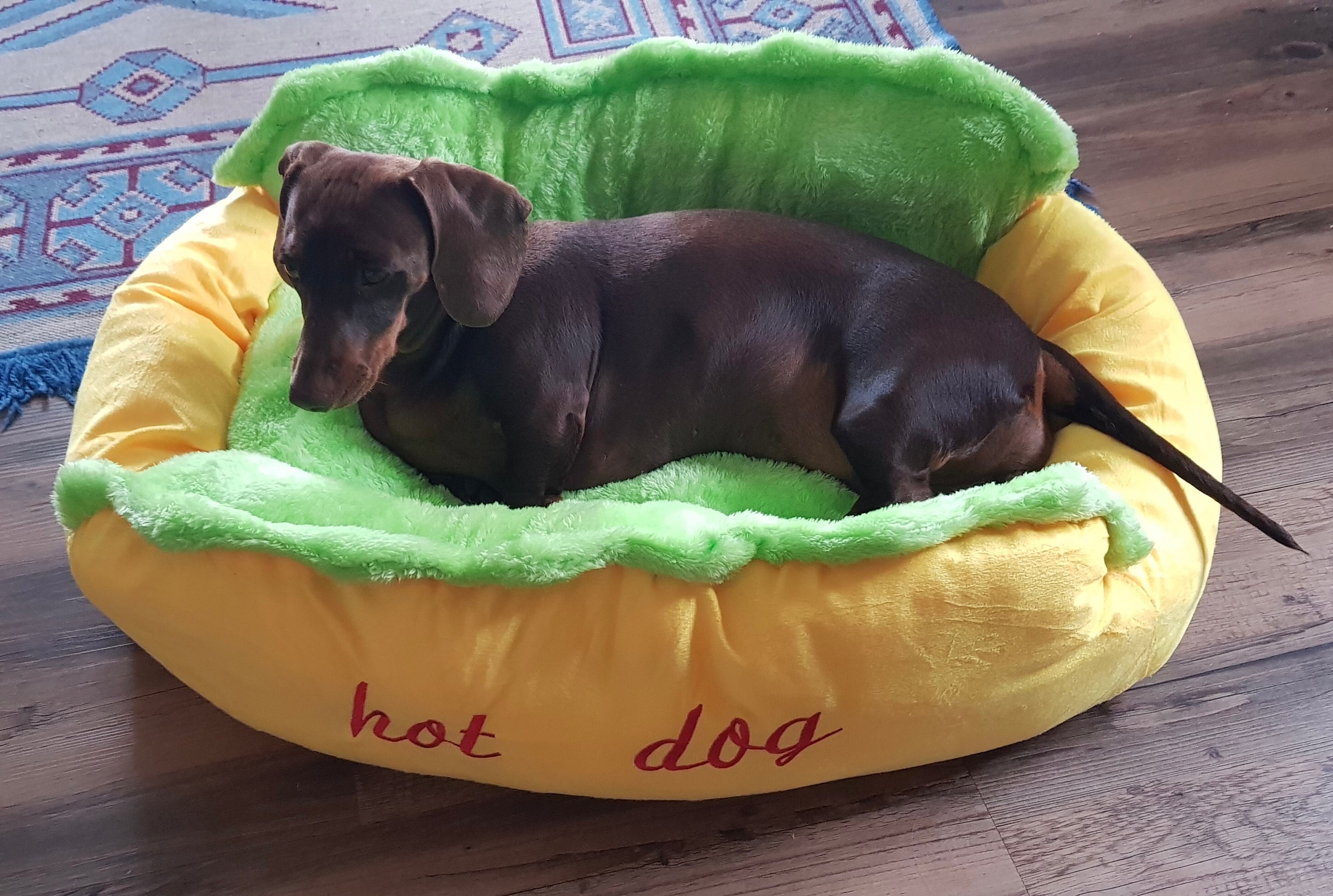 dachshund bed hot dog dach planet