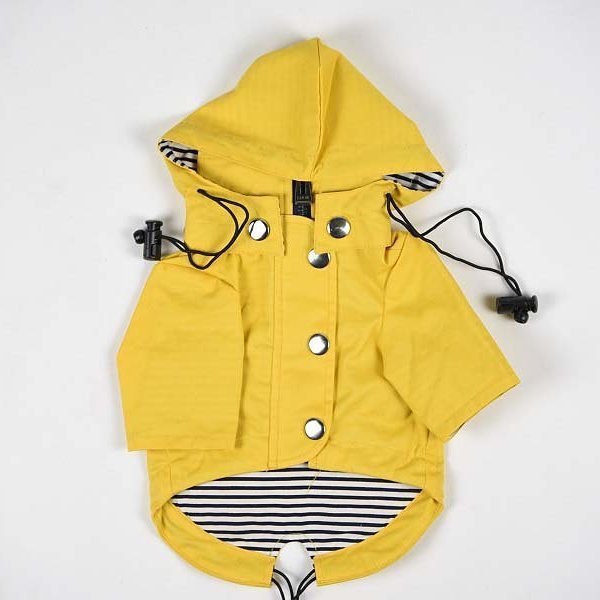 dachshund yellow dog windbreaker