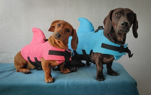 shark life jacket for dogs dachshund