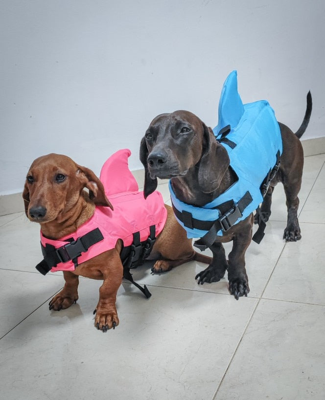 shark dog life jacket dachshund