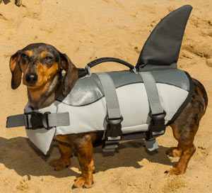 Dach Planet Shark Life Swimming Vest